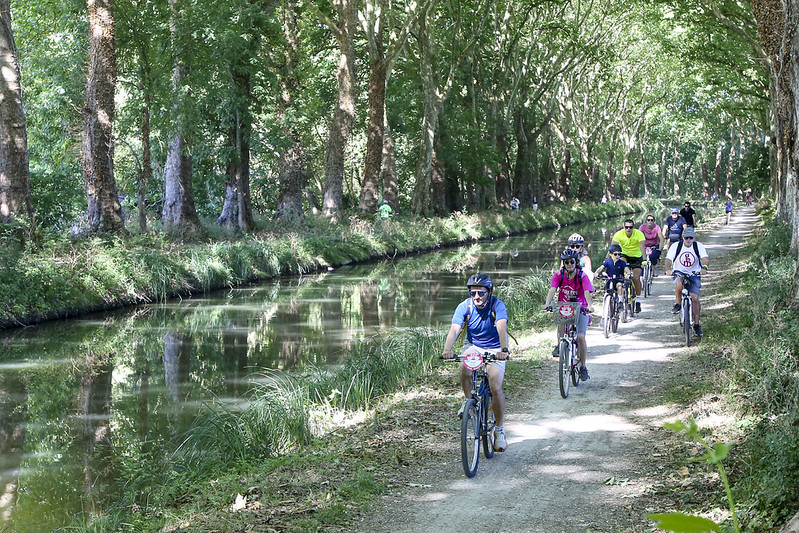 Le long du canal, sous les platanes
